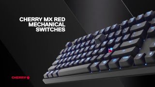 Apex M500 Mechanical Keyboard