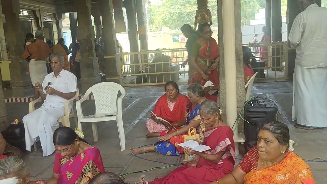 ||செத்திலாப்பத்து ||இராஜபாளையம் பெரிய மாரியம்மன் கோவில்||