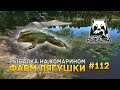 Русская Рыбалка 4 #112 - Рыбалка на Комарином. Фарм Лягушки