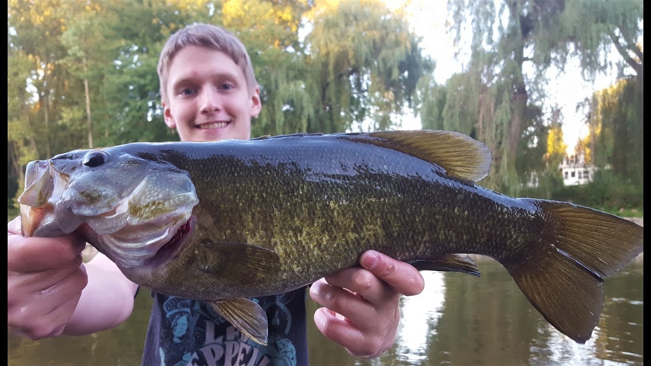 Bass Fishing With The Berkley Gulp Minnow! Bass Fishing With The Berkley Gulp Minnow!