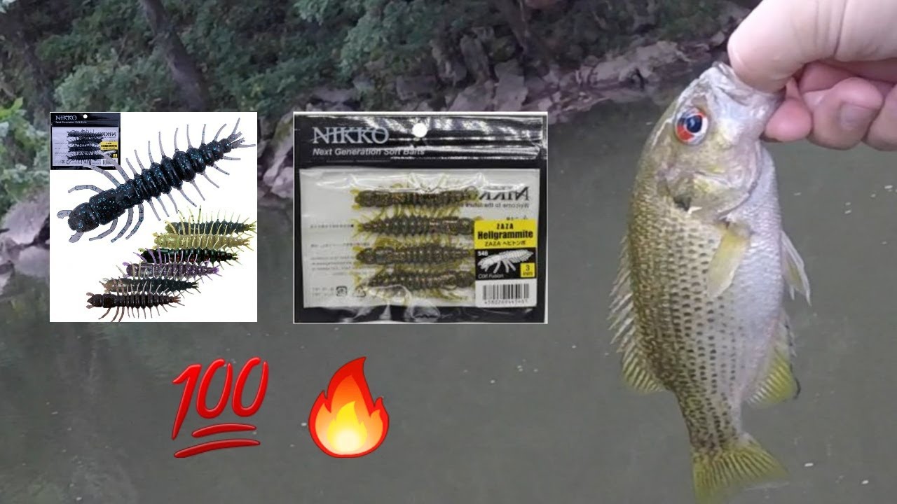 Throwing The Most Productive Creek Lure, The Nikko Hellgrammite