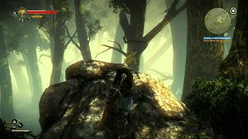 The Witcher 2: Assassins of Kings  - Graphics Demonstration - HD [720p]