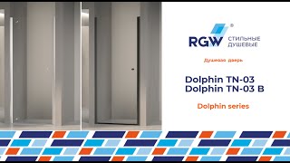 Видео обзор новинки  душевая дверь Dolphin TN 03; TN 03 B