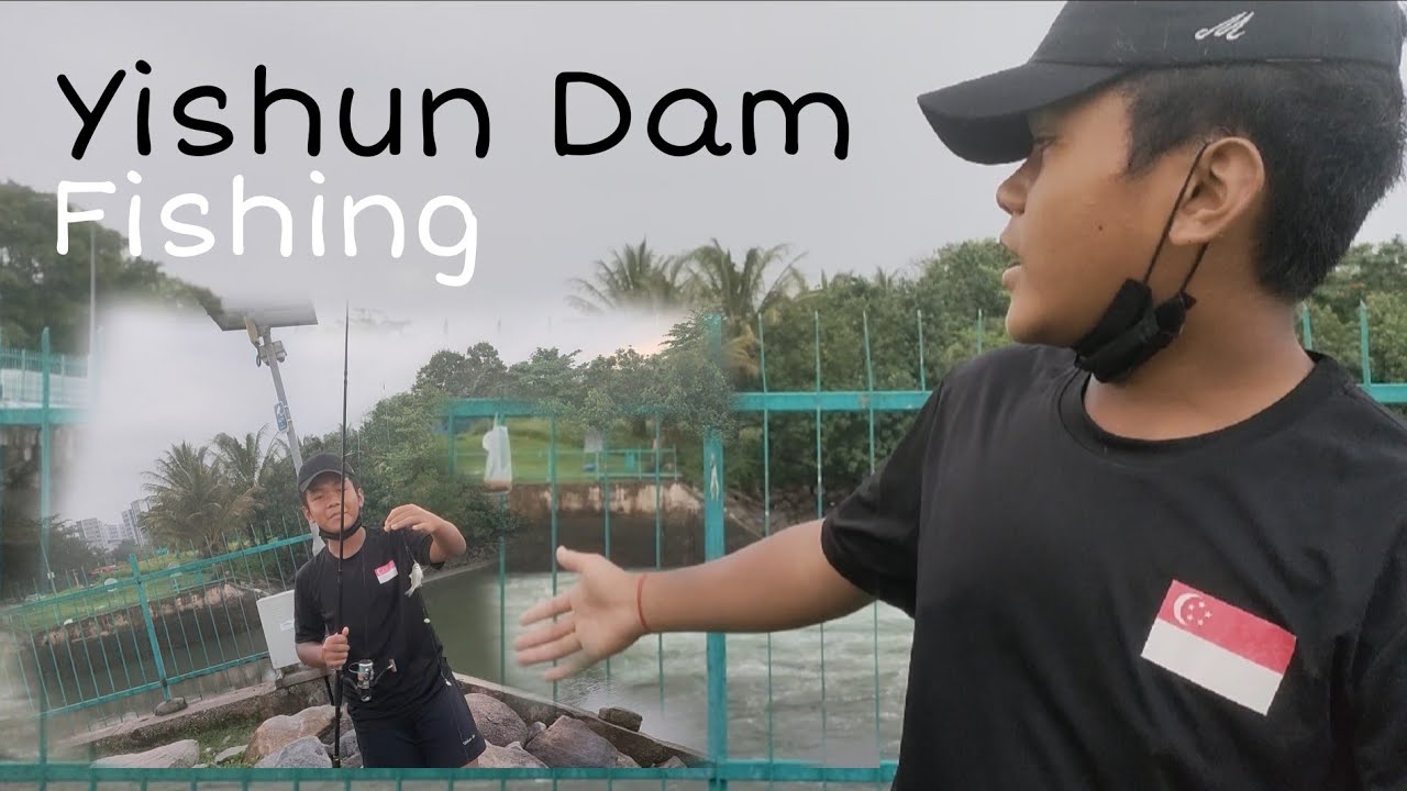 shallow fishing for some small fishes / yishun dam YouTube