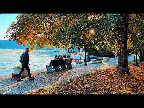 YouTube player