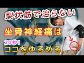 【簡単20秒!坐骨神経痛ストレッチ】梨状筋をゆるめても治らない坐骨神経痛は、〇〇をほぐして改善!【お尻の痛み】