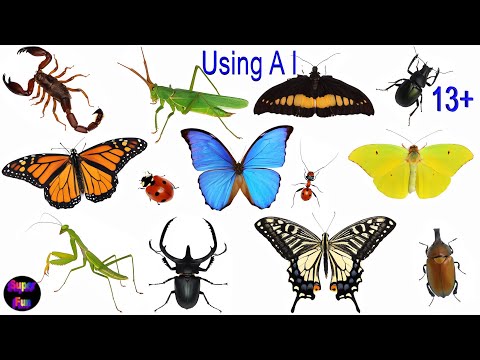 Insects Arachnids - Butterfly, Scorpion, Praying Mantis, Beetle Using AI 13+