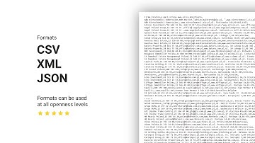 #6 Technical Standard - data formats and formatting  - DATA.GOV.PL