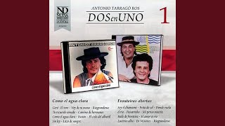 Mi petiso maceta