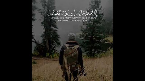 فلا يحزنك قولهم 👌♥️ | القارئ محمد كمال سورة إبراهيم