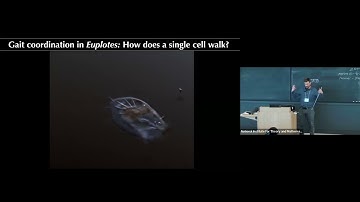 Decoding behavioral algorithms in single cells | Ben Larson