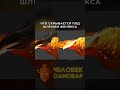 Что Скрывается под Маской Феникса? | Dota 2