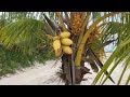 Playa Mia Cozumel - public beach, Mexico 2023