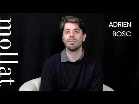 Adrien Bosc - Colonne