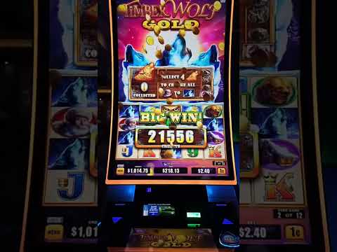 $450 On One Spin!