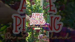Best Apple Picking on Long Island 🍎 | Top Orchards for Fall 2025 #applepicking