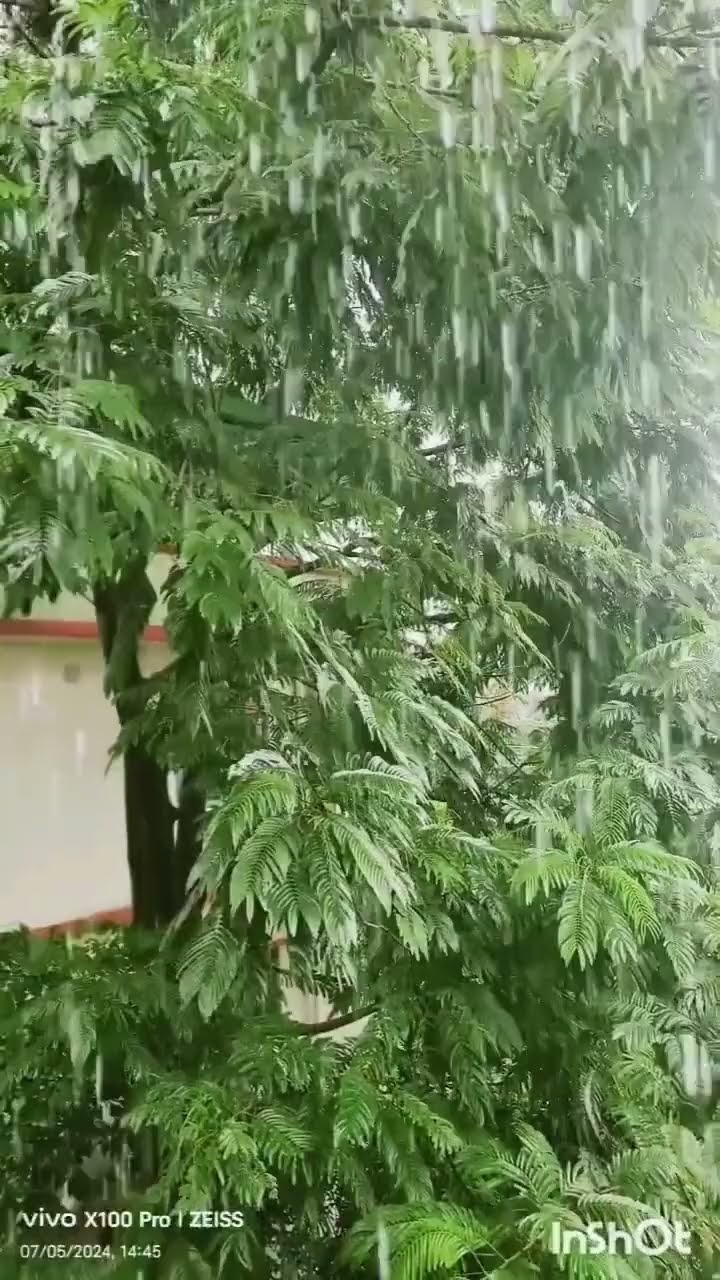 Stormy Weather Cozy Heart song nature sad love hindisong stormy-weather-cozy-heart-song-nature-sad-love-hindisong