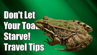 Don't Let Your Toad Starve: Essential Tips for Traveling with Your Pet!