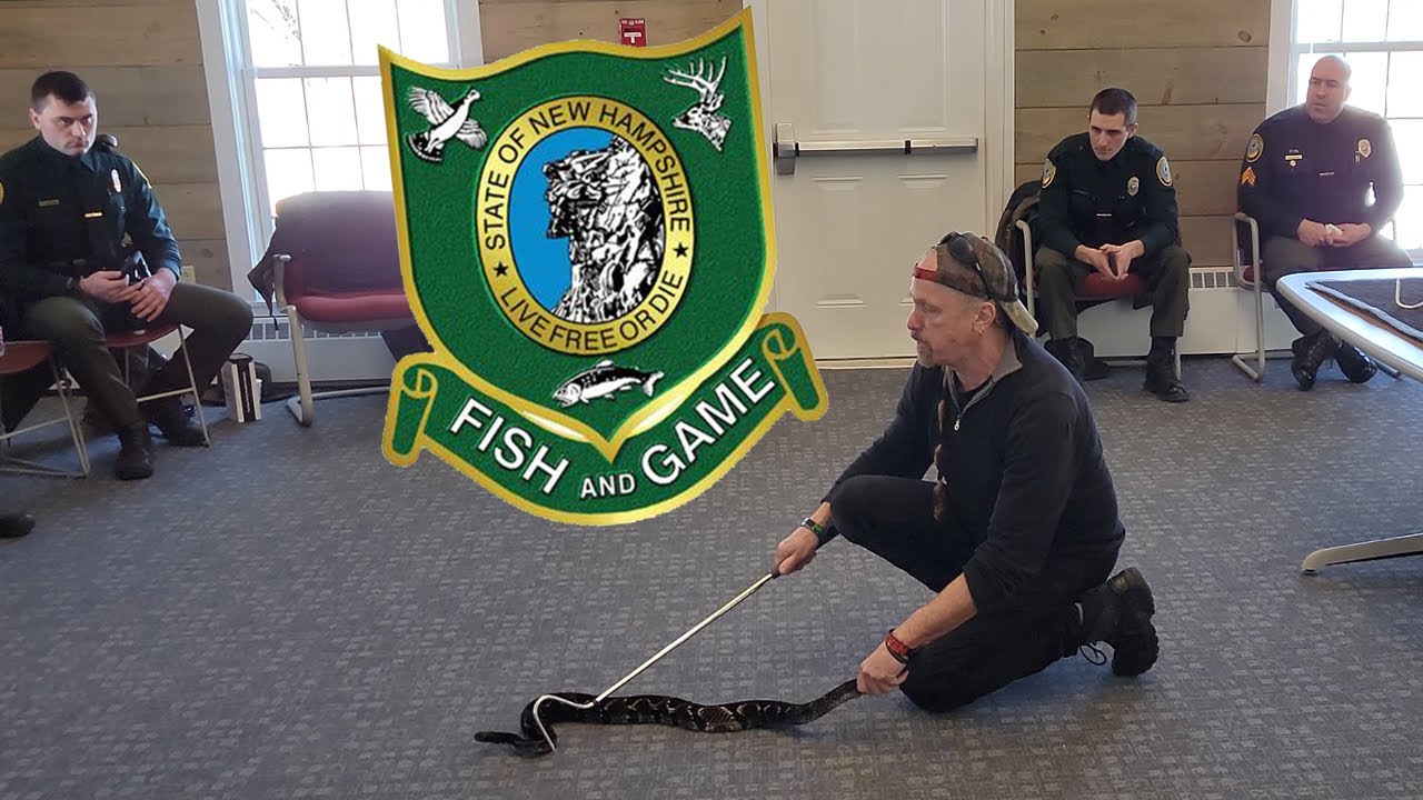 Kevin training the NH Fish & Game Department ! Reptile Handling + Venomous hook training