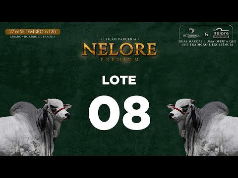 LOTE 08   MNS 12979