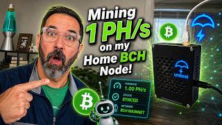 Mining 1 PH/s to Home BCH Node | Full Setup Tour
