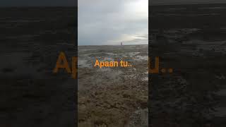 dapat organisme laut seperti....???