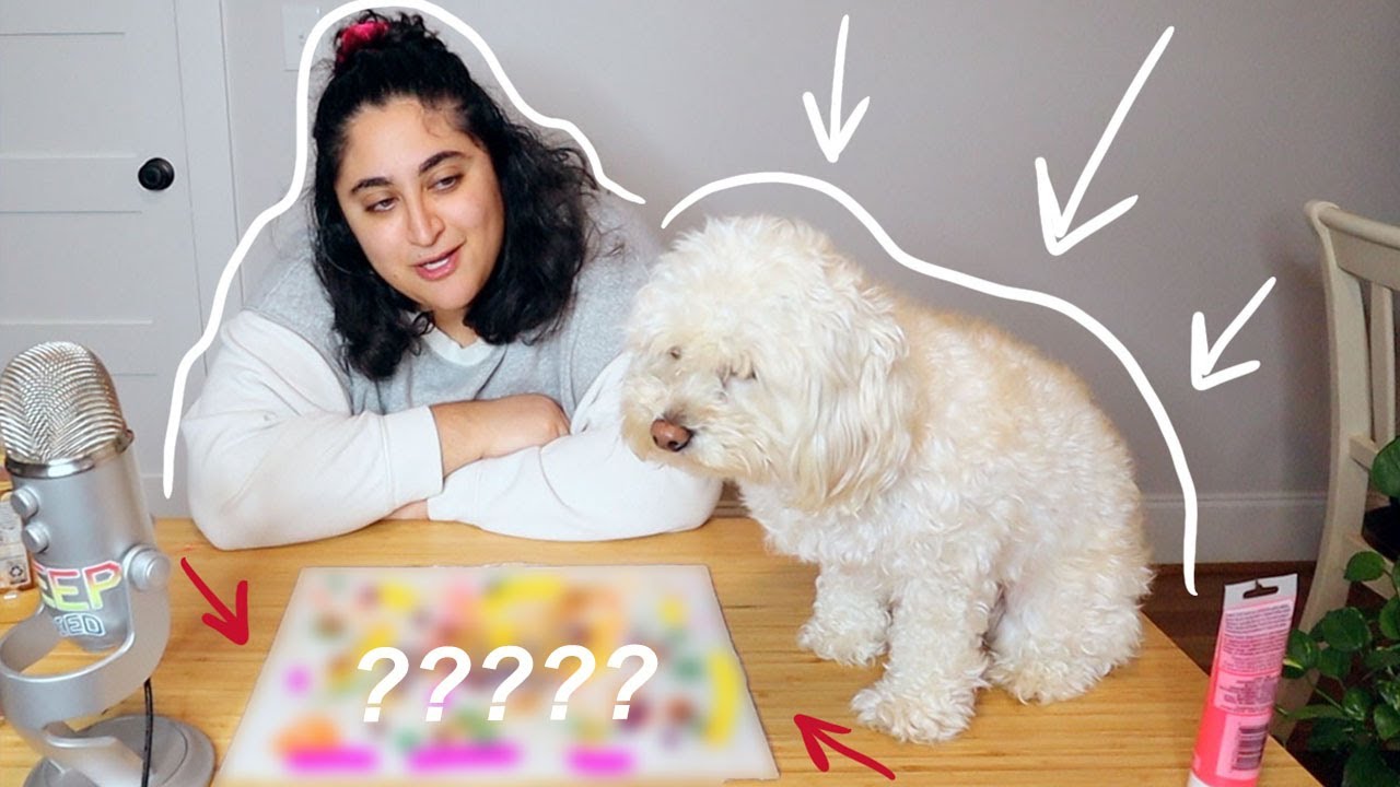 Trying the Tik Tok Dog Painting Trend with My Dog YouTube