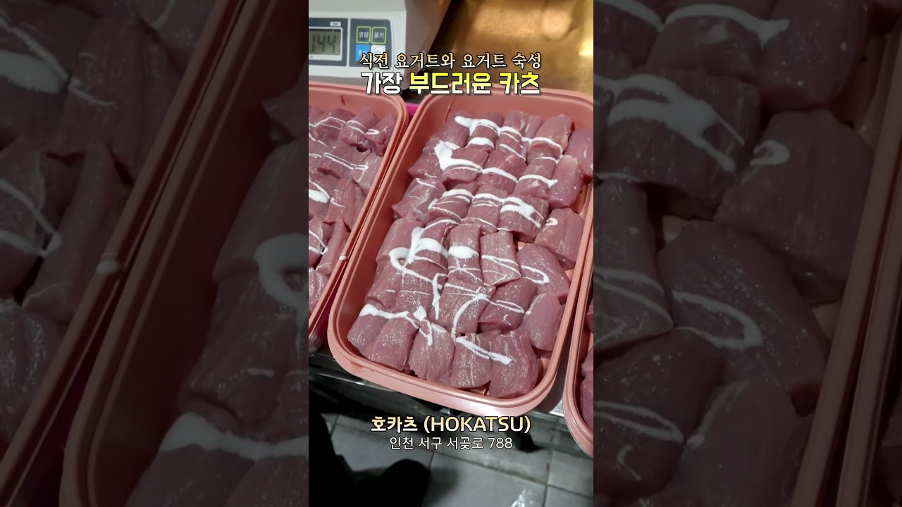 식전 요거트부터 요거트 숙성까지, 가장 부드러운 카츠는 단연 호카츠!