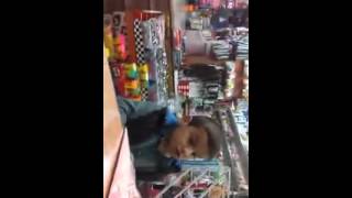 Bu Çakmağı Alırım Anasının Götüne Sokarim Hsuehenebe