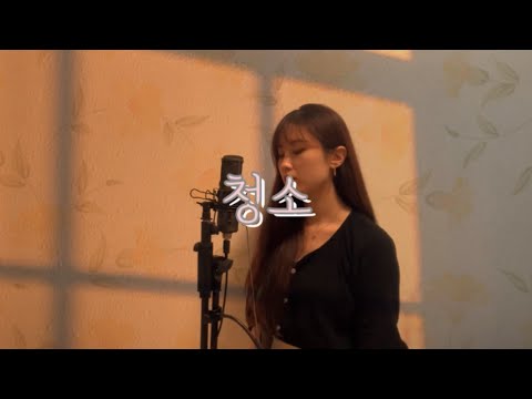 더 레이-청소│꽃구름 나라