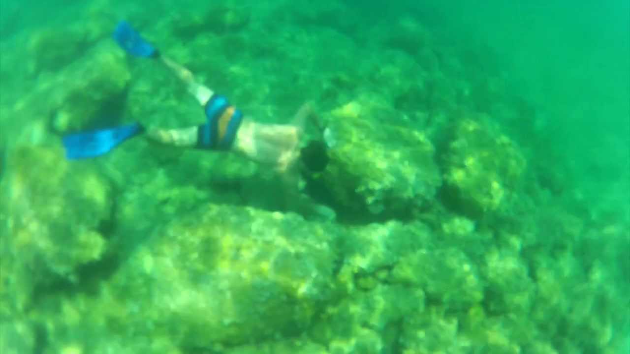 Thassos August 2013 moldovan leu