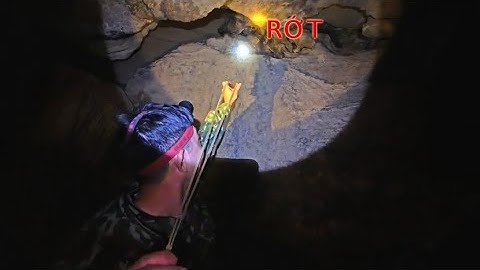 SĂN CHUỘT TRONG HANG SÂU .MÓN ĂN MỚI TỪ HOA CHUỐI-Camera Thợ Rừng.
