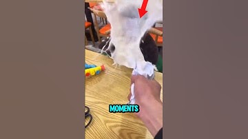 Top 5 Funniest Bruh Moments Ever Caught on Camera! 😂🤣 | Ultimate Bruh Compilation