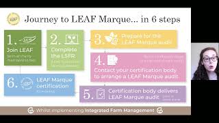 Journey To Leaf Marque In 6 Steps
