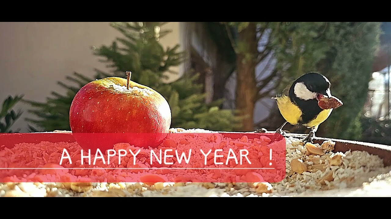 A HAPPY NEW YEAR ! - YouTube