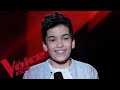 Lewis capaldi  someone you loved  nathan  the voice kids 2020  blind audition