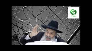 הרב אברהם ברוך -  העבריין והקברן | מצמרר מי כמוך באלים ה!