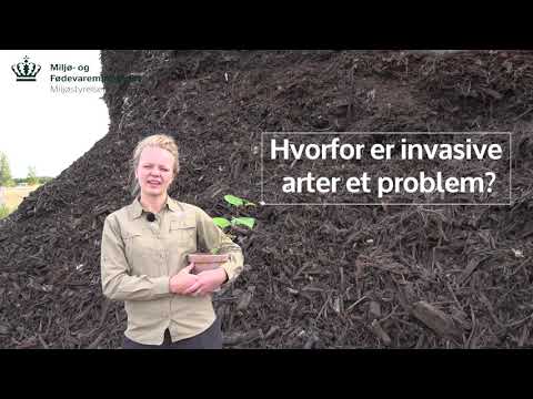 Video: Hvordan påvirker invasive arter det biologiske mangfoldet?