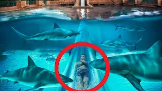 Su Kaydırağı Kazaları Su Kaydırağı Videoları Water Slides