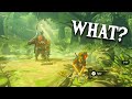 It took 7 years to realize THIS could happen in BotW...