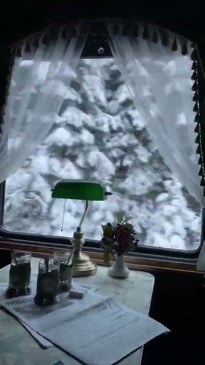 позитив#настроение#зима#путешествие#поезд#Shorts - YouTube