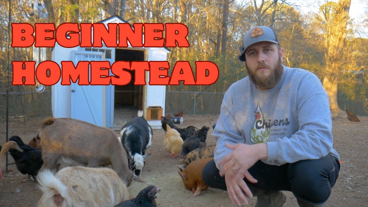 So You Want To Start A Homestead? (Beginner Tips From A Beginner) - YouTube