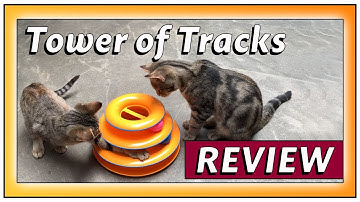 Honest Cat Toy Review - Petstages Tower of Tracks