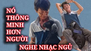 XUẤT HIỆN CON DÊ 'Độc Lạ Việt Nam' Hiểu Tiếng Người, ĂN Cơm, ĂN Mỳ, ĂN Phở, UỐNG CAFE, Nghe Nhạc Ngủ