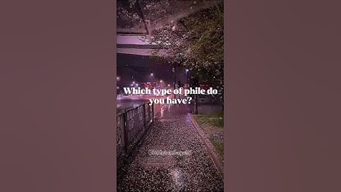 which type of phile do you have? ||#shorts #aesthetic #fypシ゚viral