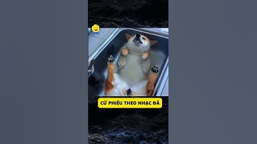 quá mệt rồi #vuivekhongquao #haihuoc #giaitri #giaitrivui #giaitriviet #cuoidaubung #thinhhanh