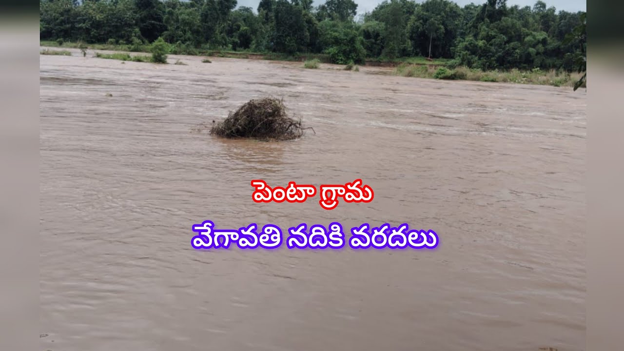 Penta village vegavathi river floods | floods in ap | floods in penta village
