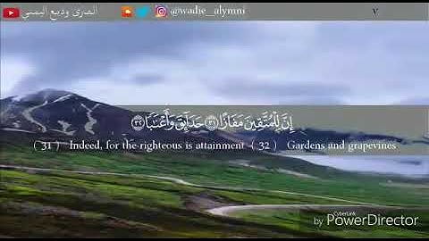 أواخر سورة النبأ بصوت / أمين الأهدل