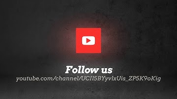 Video-Traffic-School.com Firefly Swarm YouTube Social Animation