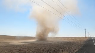 Dust Devil 360 Impact